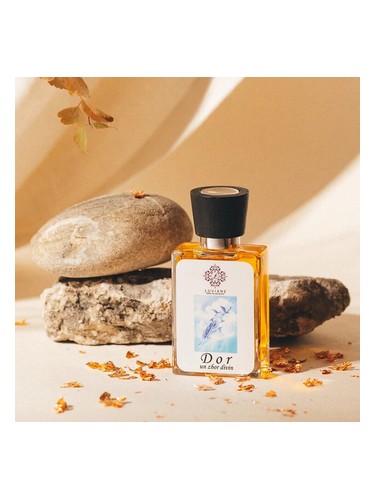 DOR Un Zbor Divin by Luviane