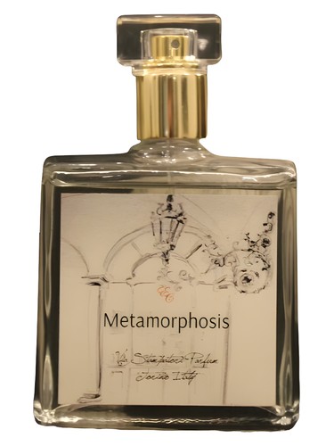 Metamorphosis by Via Stampatori