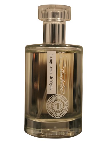 Lamporizia di Vigna by Via Stampatori