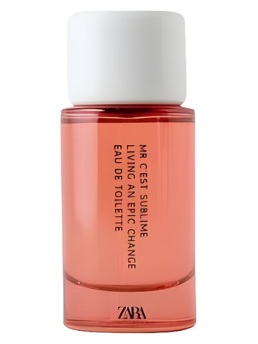 Mr C'est Sublime Living An Epic Change by Zara