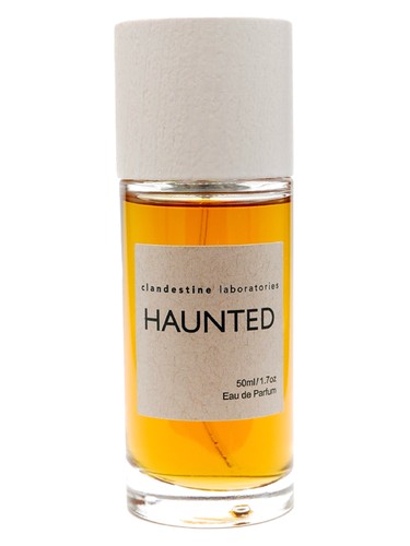 Haunted by Clandestine Laboratories