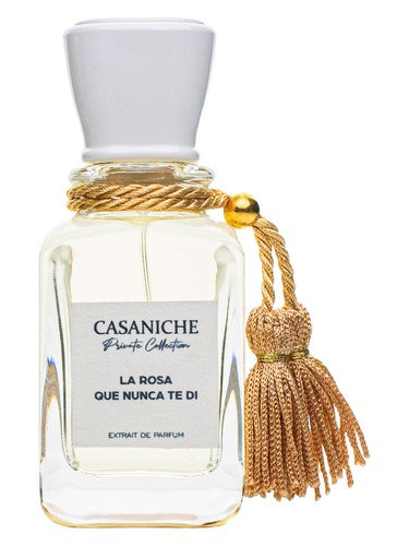 La rosa que nunca te di by Casaniche