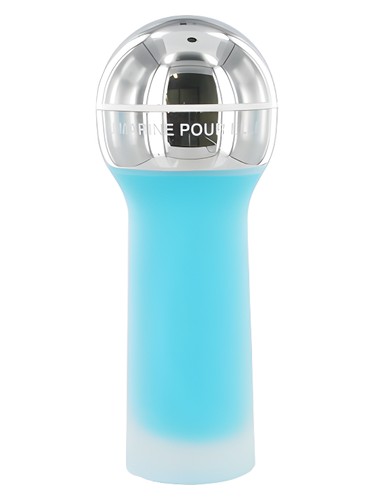 Bleu Marine Pour Elle by Pierre Cardin