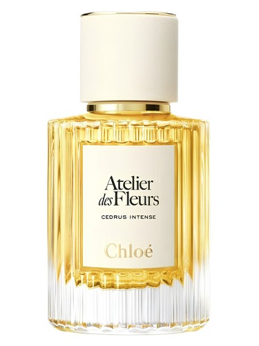 Cedrus Intense Chloé perfume by Chloe