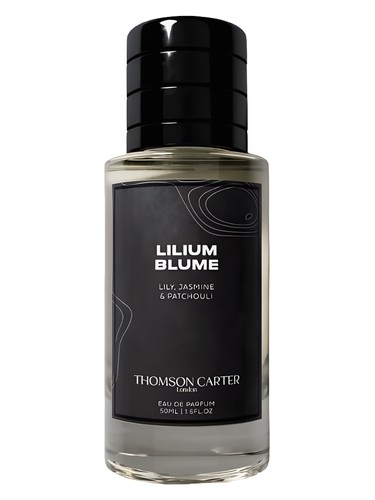 Lilium Blume by Thomson Carter