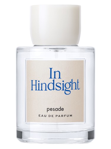 In Hindsight by Pesade