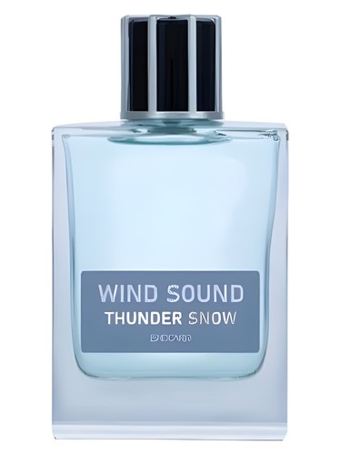 Thunder Snow by Brocard