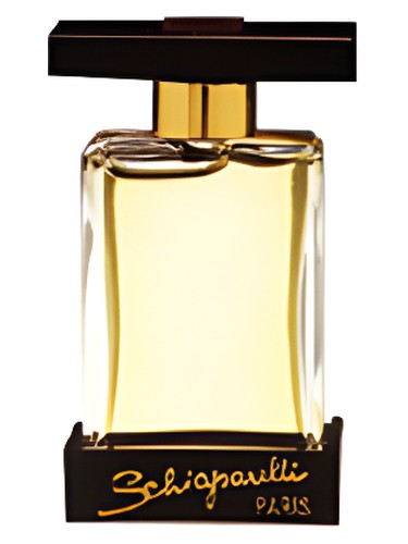 Shocking You by Schiaparelli