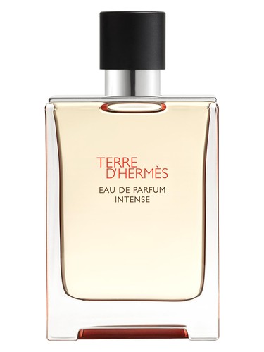 Terre d’Hermès Intense Hermès cologne by Hermes