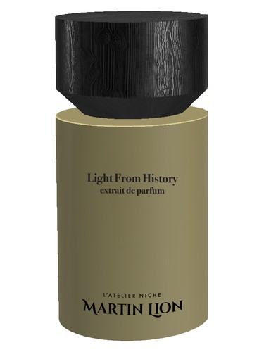 Light from History by Martin Lion