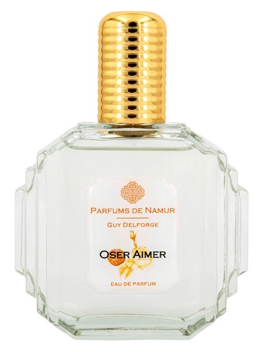 Oser Aimer by Guy Delforge