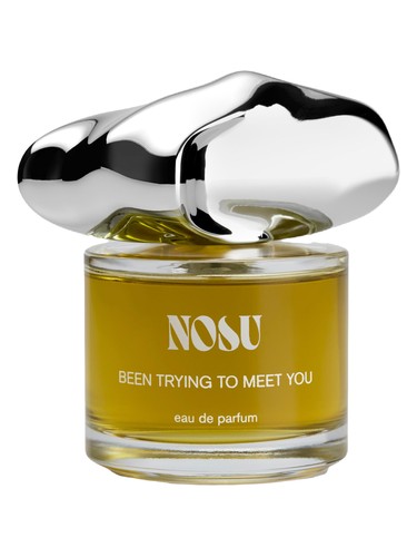 Been Trying To Meet You by Nosu