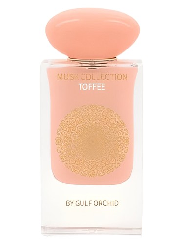 Toffee by Gulf Orchid