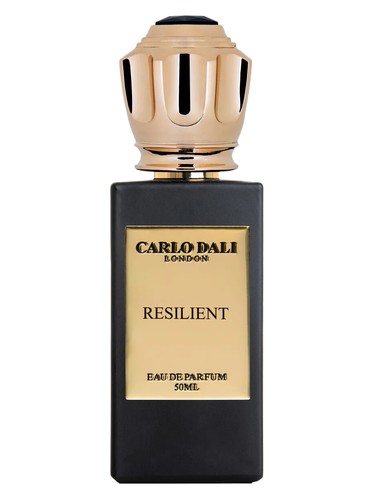 RESILIENT by Carlo Dali
