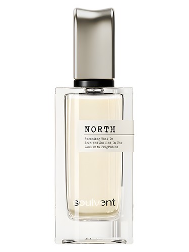 Crimson Snow by Soulvent