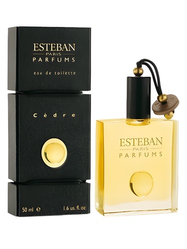 Cedre by Esteban