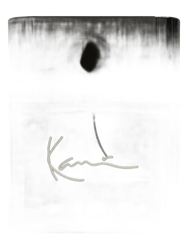 New York City Goals by Karl Kani