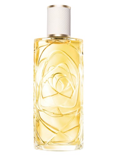 Ô Zenith Lancôme perfume by Lancome