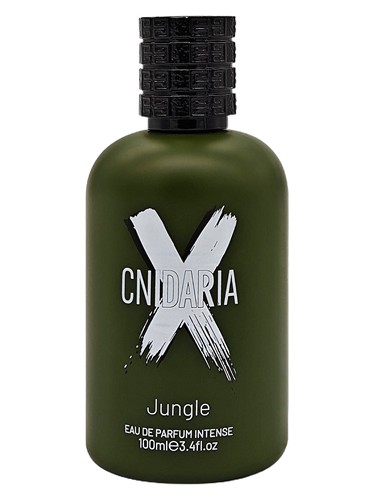 Cnidaria Jungle by Samam