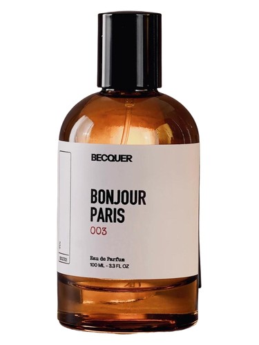 Bonjour Paris by Becquer