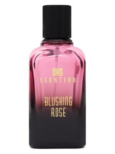 Blushing Rose by Scentido