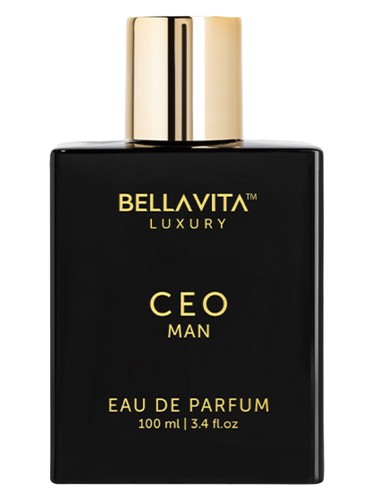CEO Man by BellaVita