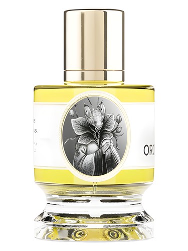 Orchid Mantis by Zoologist Perfumes