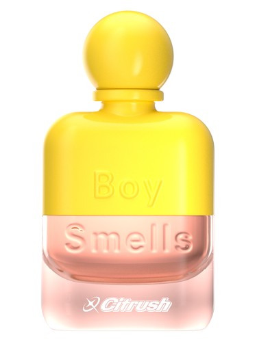 Citrush by Boy Smells