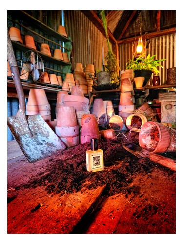 Wilcox's Potting Shed by Solstice Scents