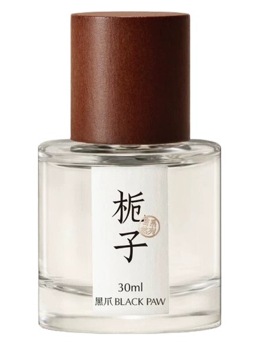 Gardenia 栀子 by Black Paw