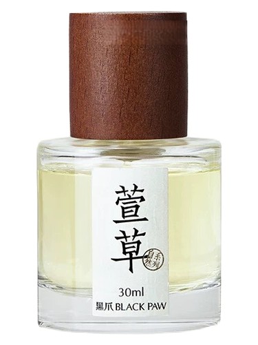 Hemerocallis Fulva 萱草 by Black Paw