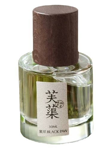 Lotus Flower 芙蕖 by Black Paw