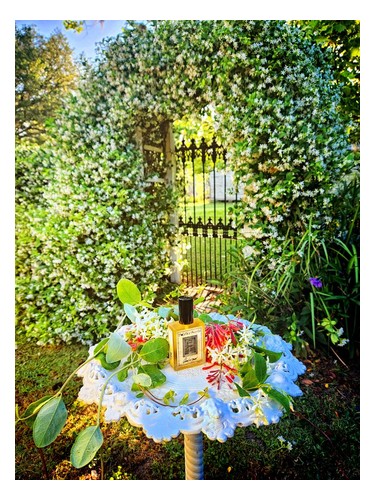 Queen of Dawn by Solstice Scents