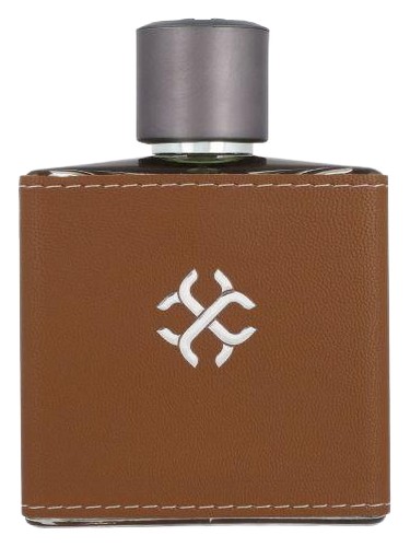 Find Your Way Wild by Carlo Corinto