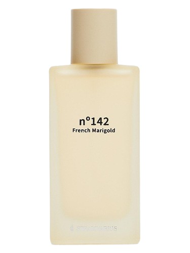 N°142 French Marigold by Stradivarius