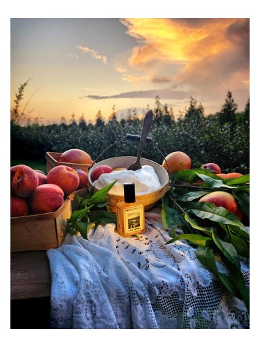 Iced Nectar by Solstice Scents