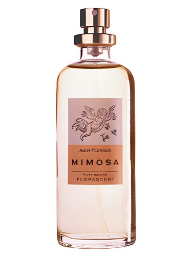 Mimosa by Florascent