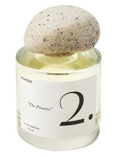 2. The Process by Mango