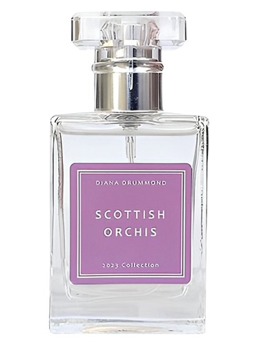 Scottish Orchis by Diana Drummond