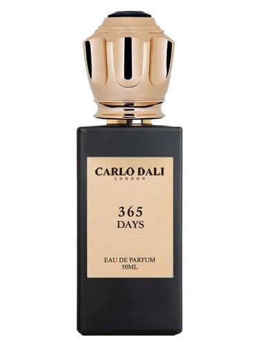 365 Days by Carlo Dali