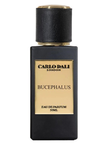 Bucephalus by Carlo Dali