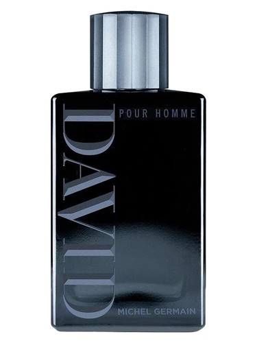 David by Michel Germain