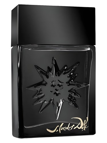 Black Sun by Salvador Dali