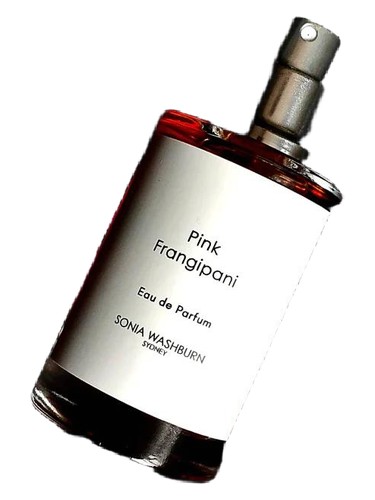 Pink Frangipani by Sonia Washburn