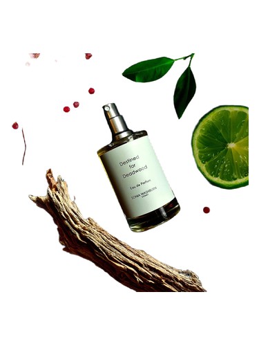 Destined for Deadwood by Sonia Washburn