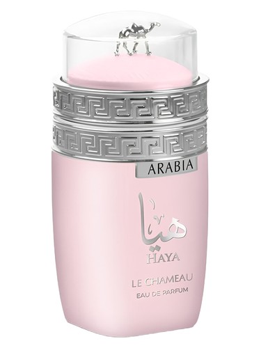 Arabia Haya by Le Chameau