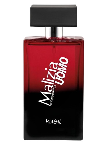 Malizia Uomo Musk by Malizia