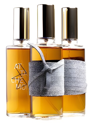 Attache-Moi by ICONOFLY