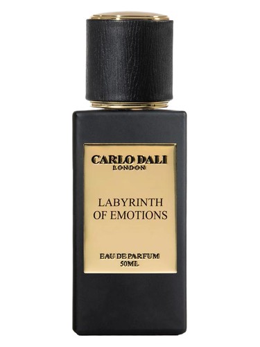 Labyrinth of Emotions by Carlo Dali