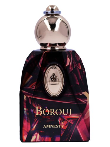 Amnesty by Borouj